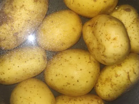 Kartoffeln frisch seviert mit Petersilie